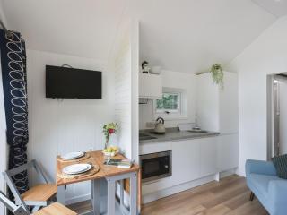 Mini Lodge - Uk47682 - Montgomery - 9