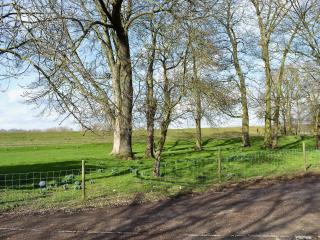 Baswick Steer - Burshill - 2