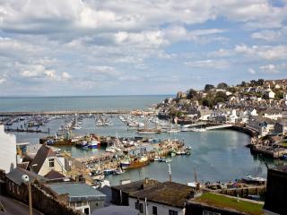 Fishlegs - Brixham - 7