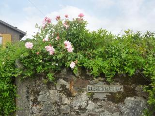 Tigh An Uillt - Strachur - 1