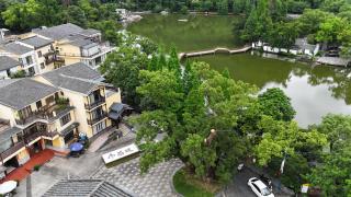 Guilin Camphor Country House -Free pick up service - Guilin - 0
