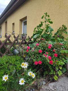 Tu hus bei Faber - Fewo Milo - - 1