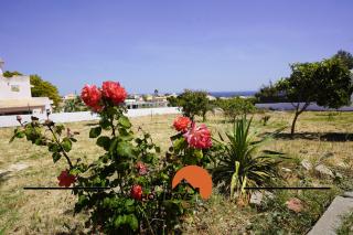 #331 Casa Chico Rita by Home Holidays - Sesmarias - 1