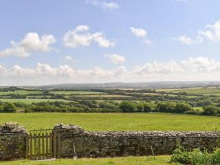 Haywain - Uk12084 - Saint Endellion - 9