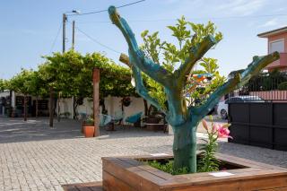 Guest House MJ - Póvoa de Varzim - 6