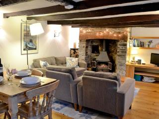 The Thatch Cottage - South Petherwin - 8