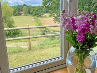 Weavers Lodge - Ibsley - 1