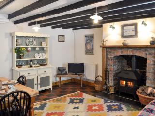 Gerlan - Tregaron - 7
