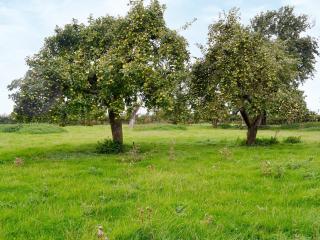 Ostlers Cottage - Long Bennington - 1