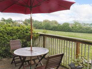 Brandys - Colyton - 3