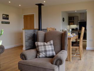 Bluebell Lodge - Llandrindod Wells - 0