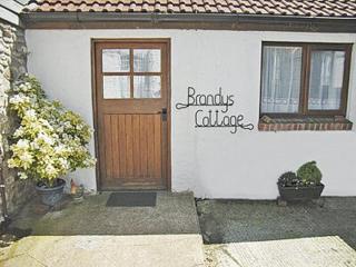 Brandys - Colyton - 9