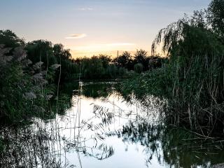 Lake View Lodges - 25072 - Leake Common Side - 7