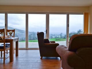 Bluebell Lodge - Llandrindod Wells - 9