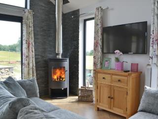 Sprint Lodge - Burneside - 8