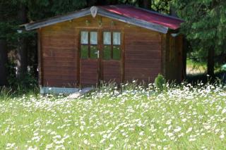 Apartment am Nationalpark Bayerwald - Lindberg - 4