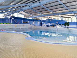The Hive - Warmwell - 1