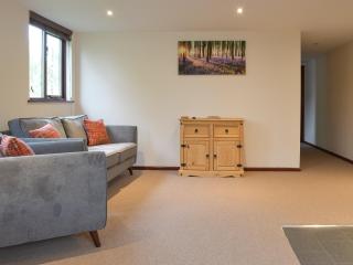 Isleport Lodge - Highbridge - 8