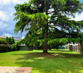 Villa De Monzie, Bazas Centre - Bazas - 8