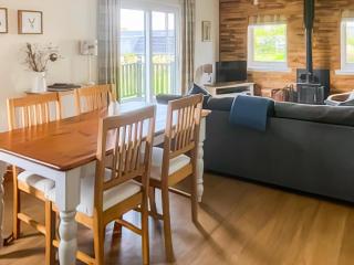 Tay Lodge - Aberfeldy - 9