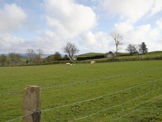 Bryntrisant - Devils Bridge - 3