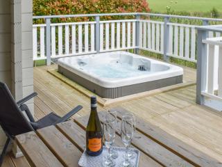 Birch Lodge - Uk30006 - Lindal in Furness - 8