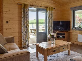 Birch Lodge - Uk30006 - Lindal in Furness - 0