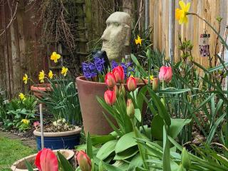 Brushmaker Cottage - Diss - 1