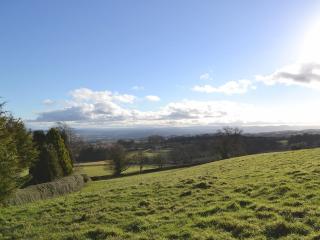 Granary Cottage - Oswestry - 1