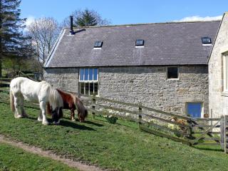 The Old Mill - 28218 - Thropton - 1