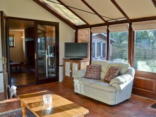 Maytree Cottage - East Dereham - 4