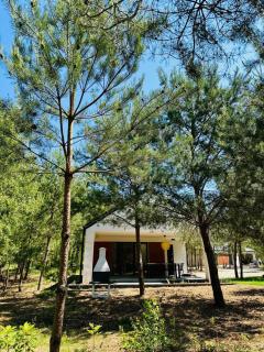 Przystanek Nowa Ruda - 9