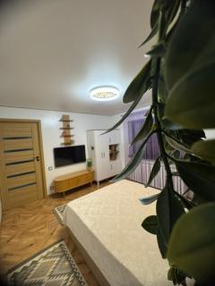 KUZINATRA Apartament - Slănic-Moldova - 6