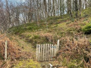 The Cabin In The Woods - Uk49023 - Pencarreg - 4