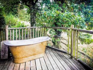 Bensfield Treehouse - Wadhurst - 1