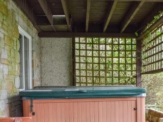 Squirrel Creek - Sydenham Damerel - 9