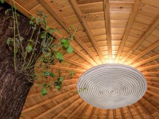 Bensfield Treehouse - Wadhurst - 8