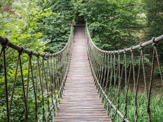 Bensfield Treehouse - Wadhurst - 4