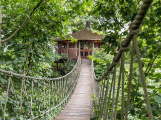 Bensfield Treehouse - Wadhurst - 3