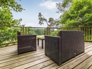 Bensfield Treehouse - Wadhurst - 2