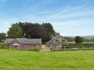 Black Lion Folly - Rhydymwyn - 6