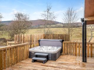 Hawthorn Lodge - Uk42546 - Llanwrthwl - 9