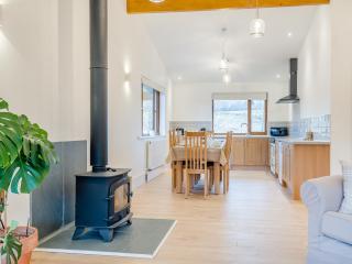 Hawthorn Lodge - Uk42546 - Llanwrthwl - 6
