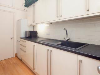 Oystercatcher - Kingswear - 3