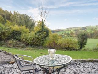 Pentre Cwm Bach - Llansilin - 8