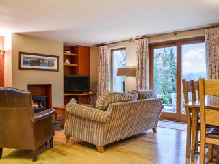 Over Brandelhow - Valle de Borrowdale - 8