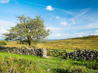 Valley Lodge 2 - Callington - 1