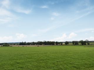 Uuu Pod-Uk45325 - Forfar - 7