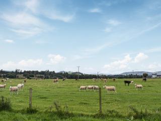 Uuu Pod-Uk45325 - Forfar - 6