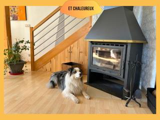 Maison Le Vignoble avec jardin - 6 personnes - Ribeauvillé - 8